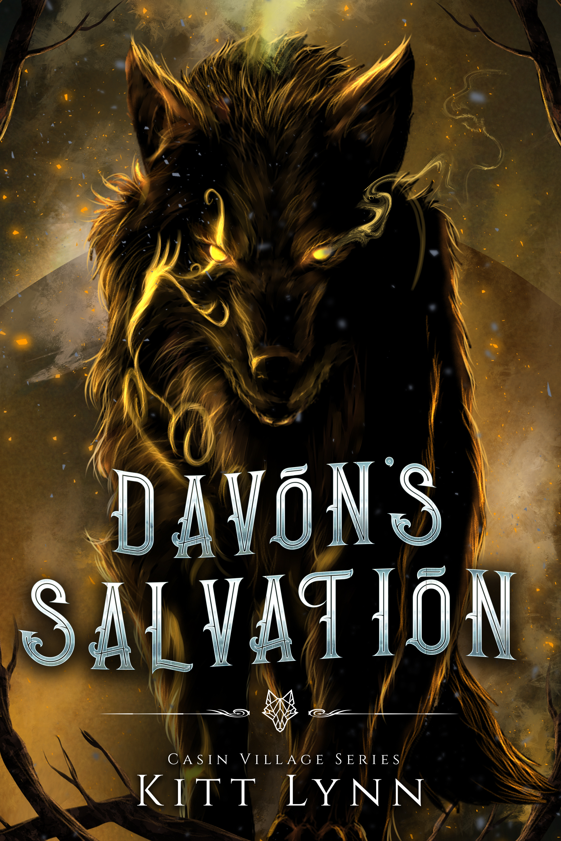 Davon's Salvation book cover