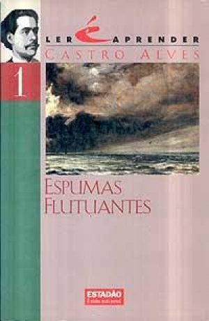 Espumas Flutuantes book cover