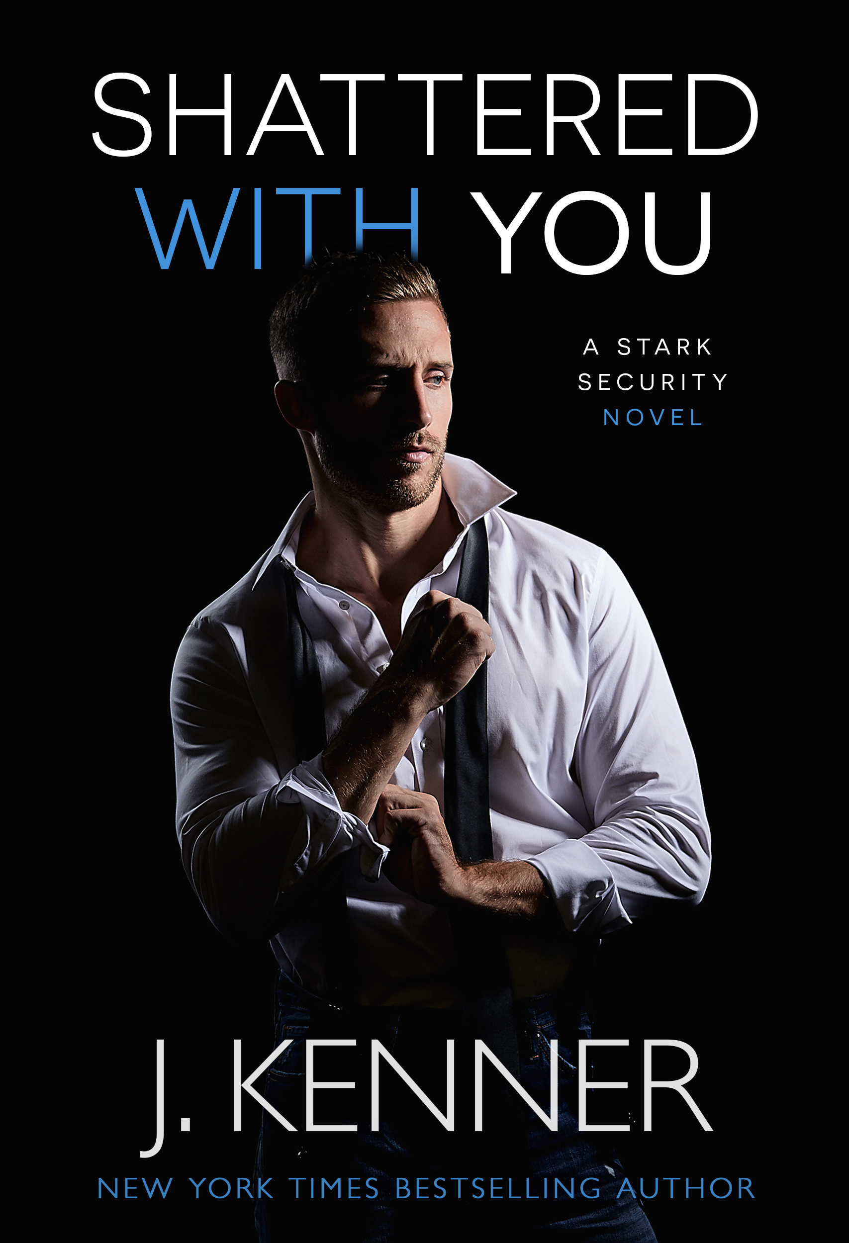 Stark Security book cover 1