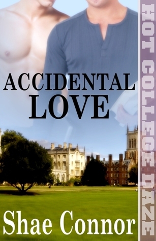 Accidental Fall book cover