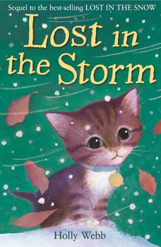 Lost in the Storm book cover