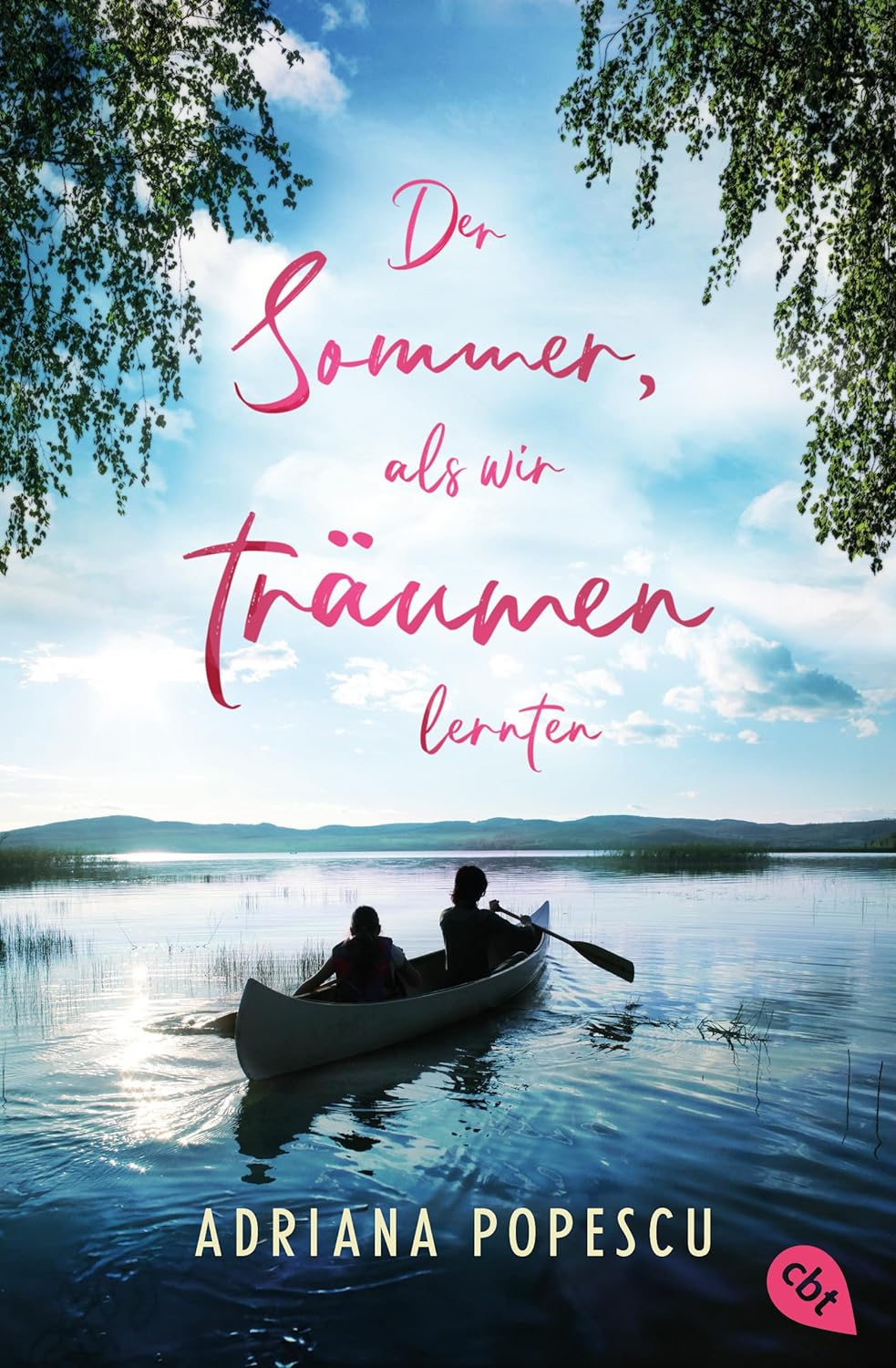 Der Sommer, als wir träumen lernten book cover