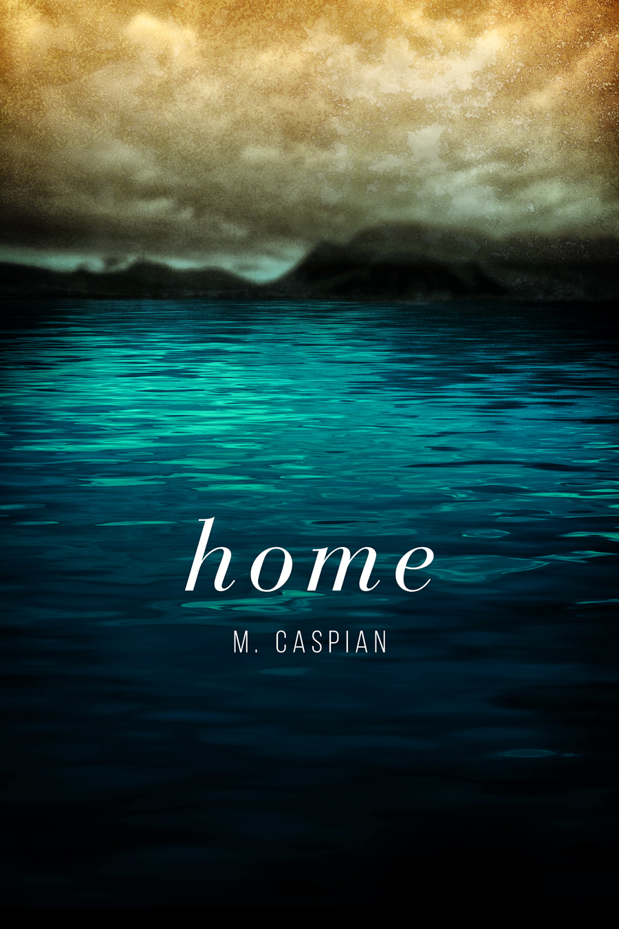 Home book cover