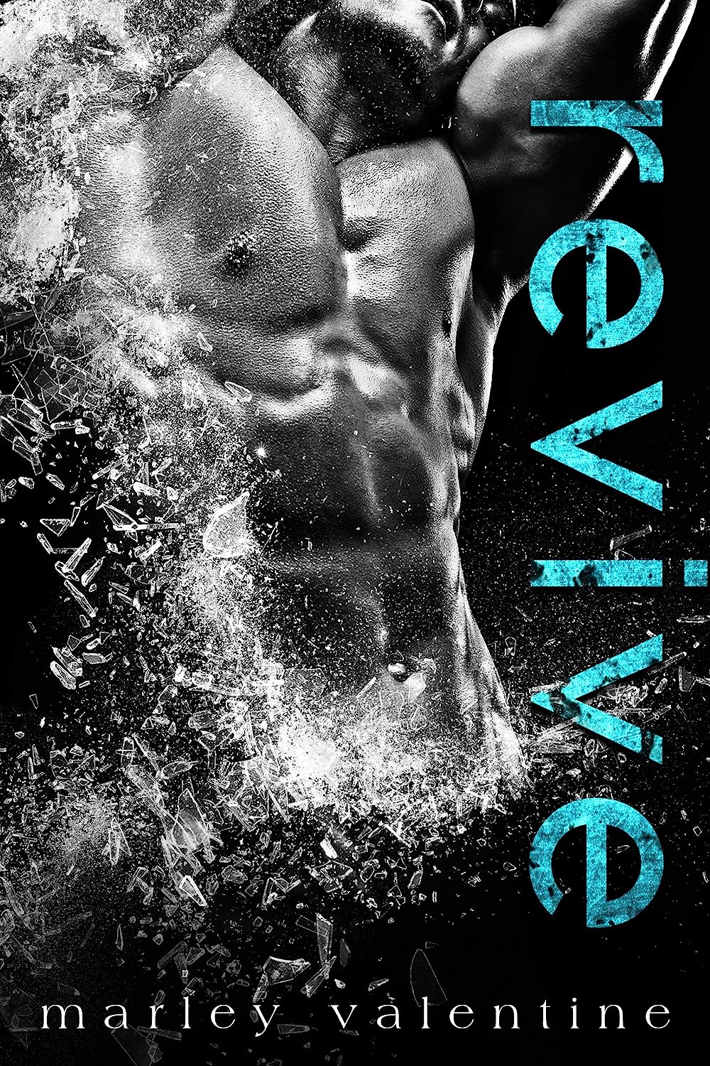 Redemption book cover 2