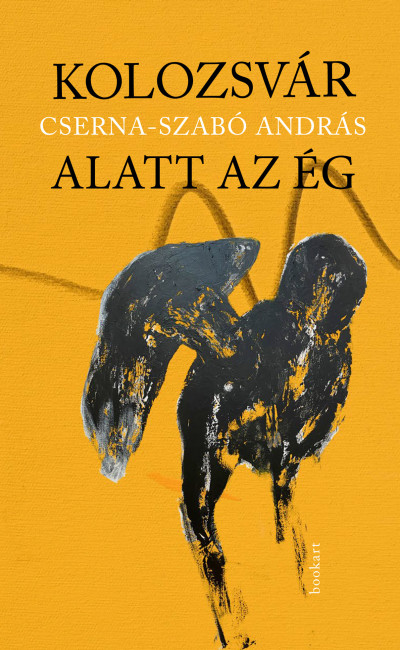 Kolozsvár alatt az ég book cover