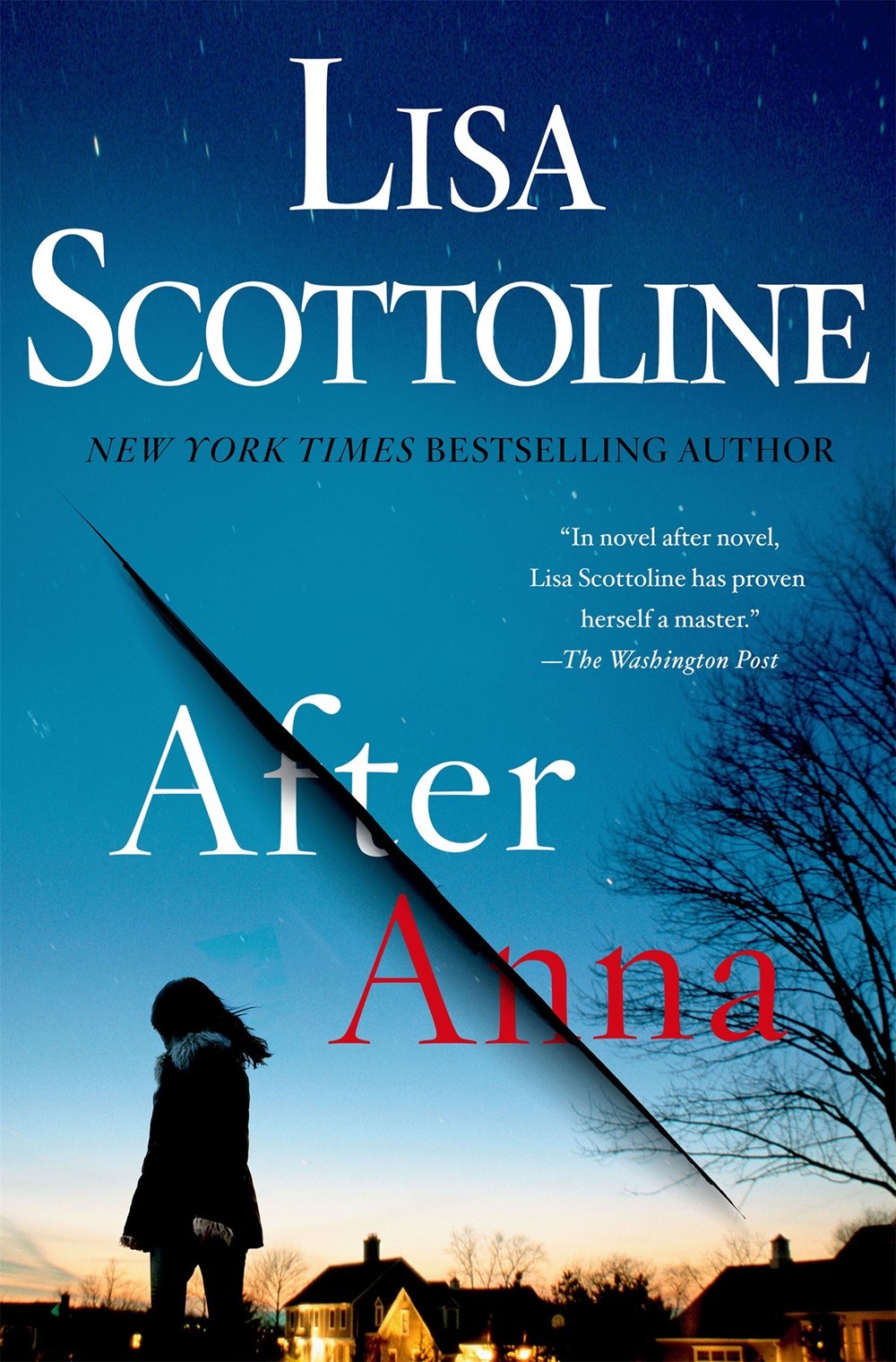 After Anna book cover