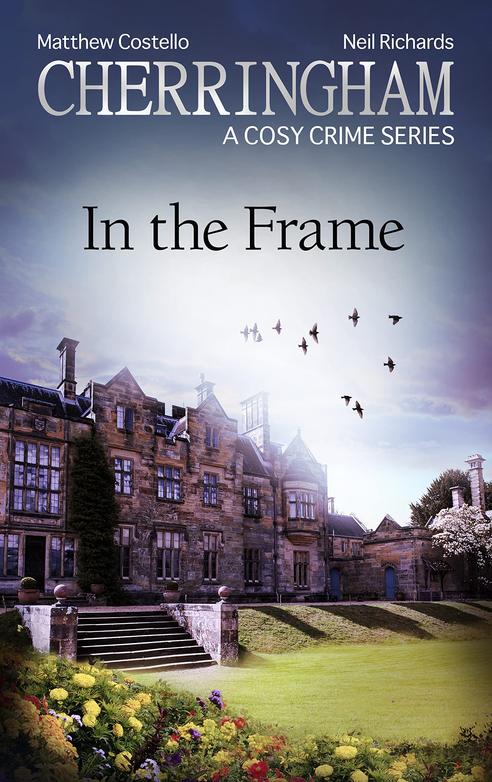 In the Frame book cover