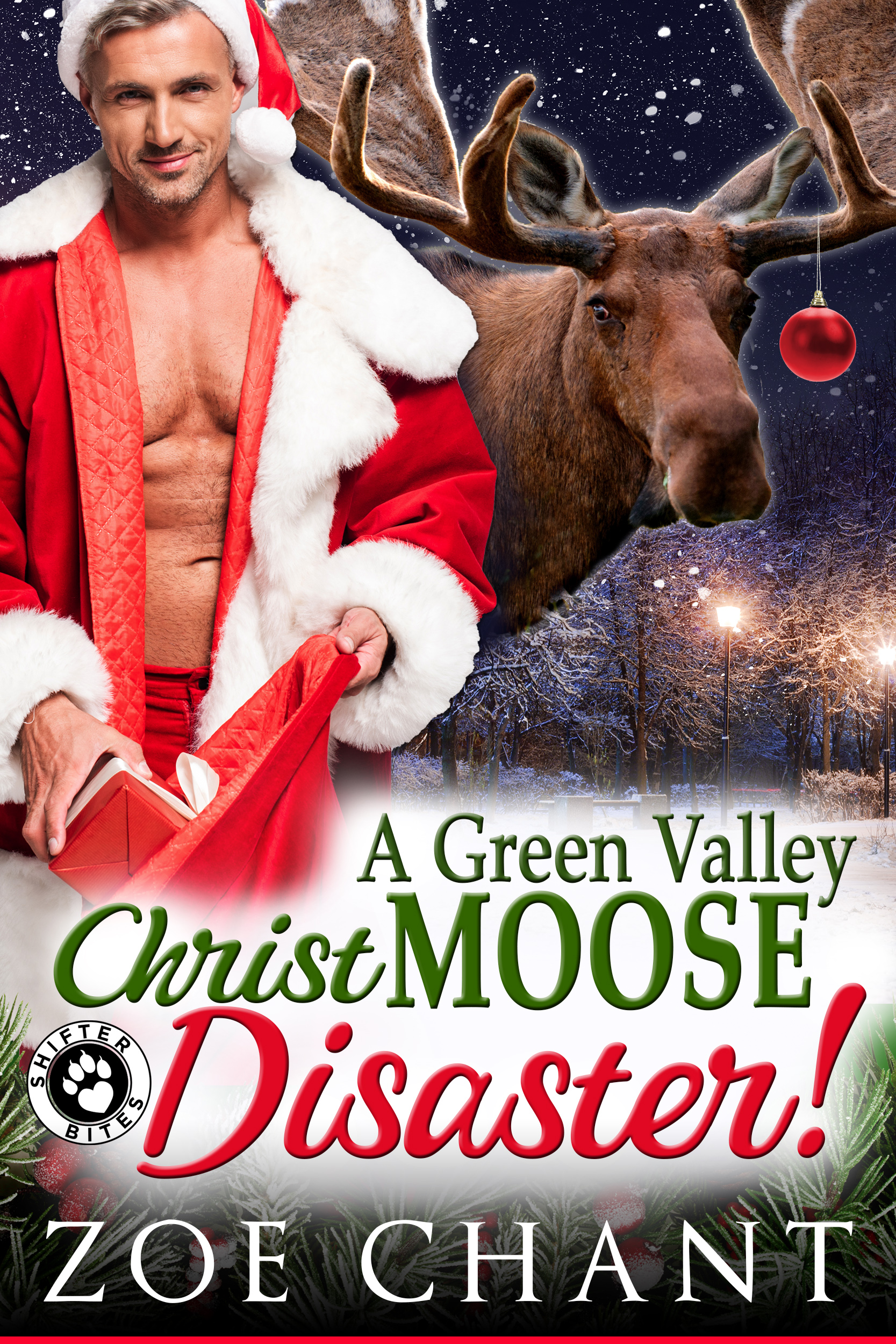 A Green Valley Christmoose Disaster book cover