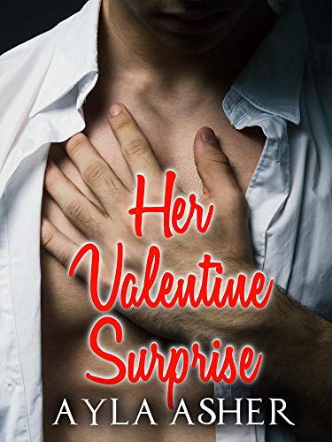 Manhattan Holiday Loves book cover 2