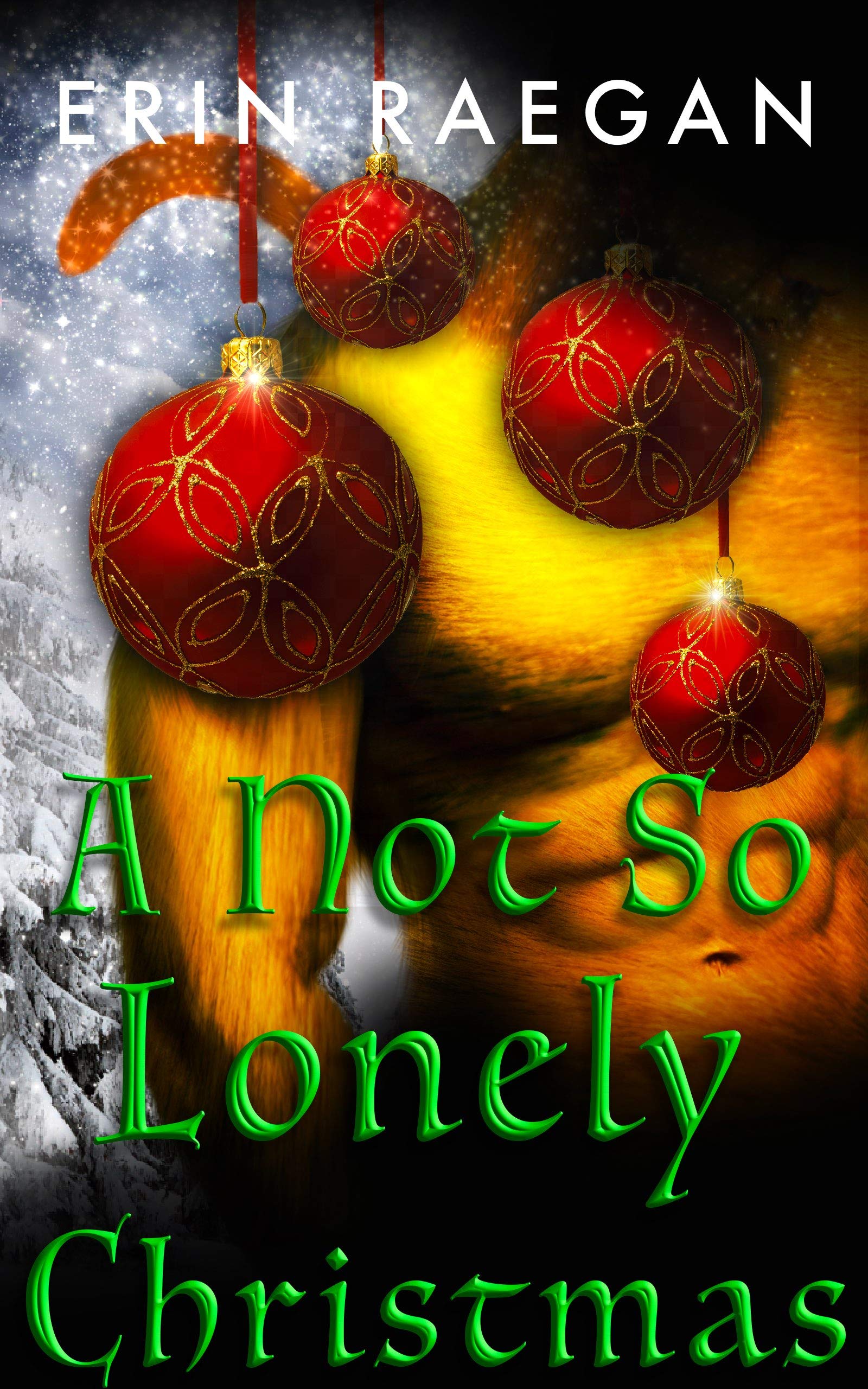 A Not So Lonely Christmas book cover
