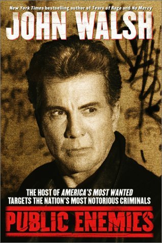 Public Enemies book cover