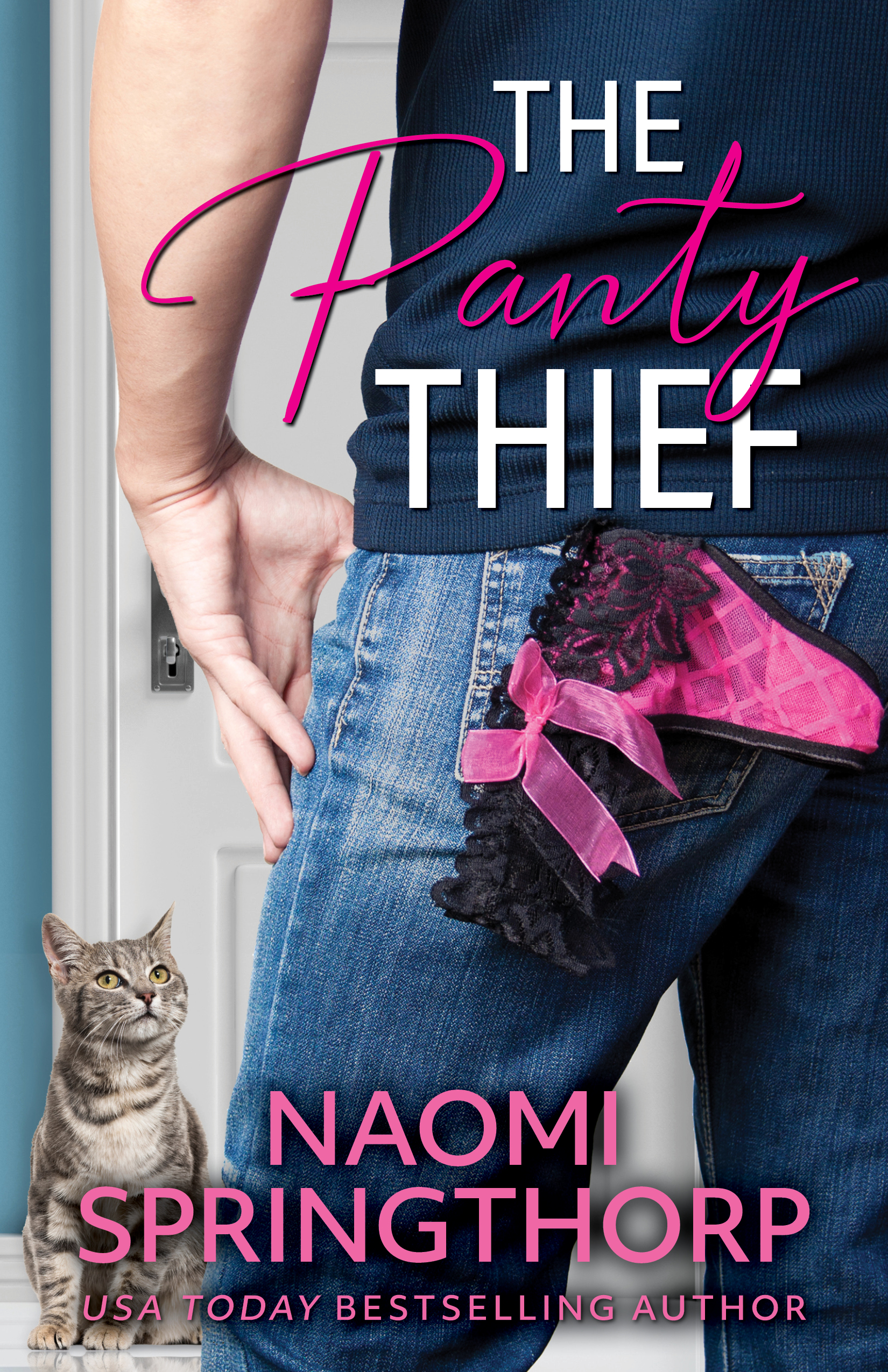 The Panty Thief book cover