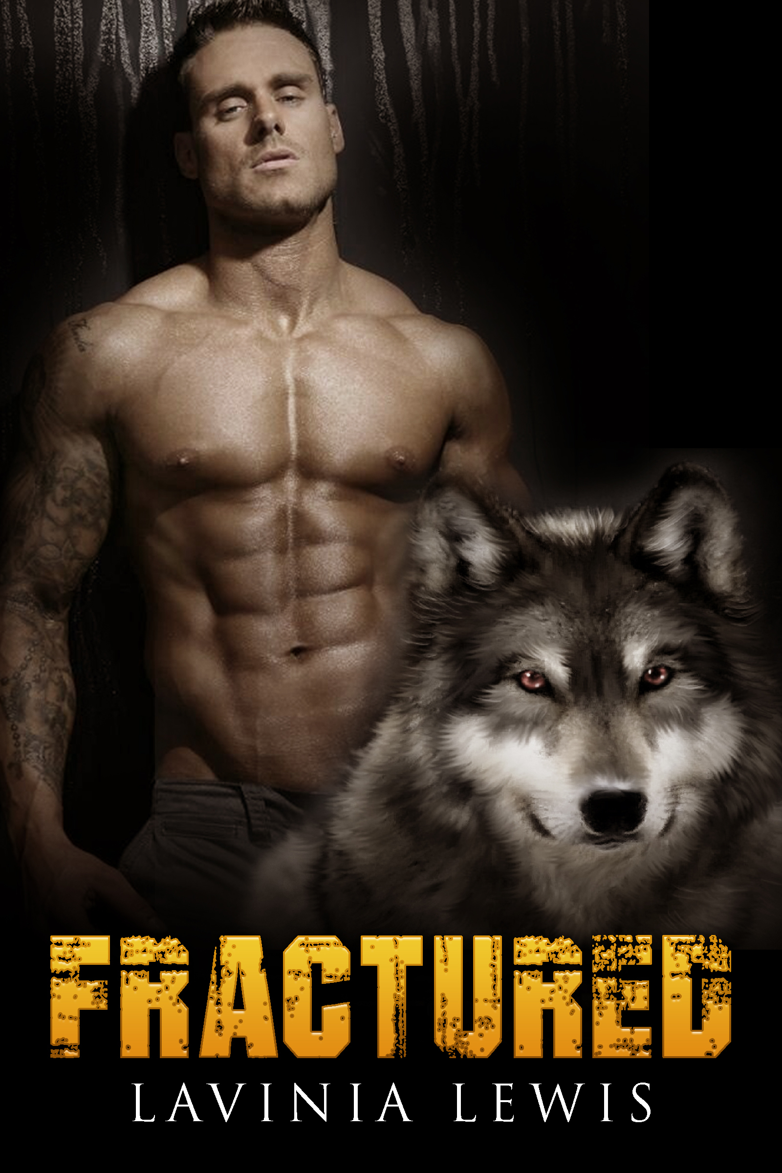 Fractured book cover