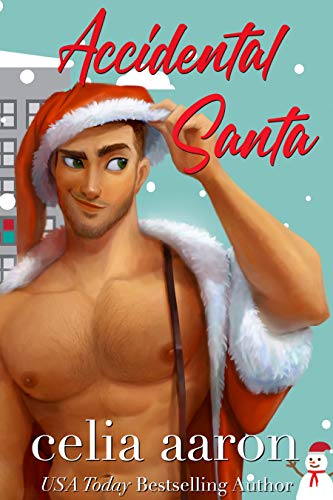 Accidental Santa book cover
