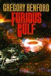 Furious Gulf book cover