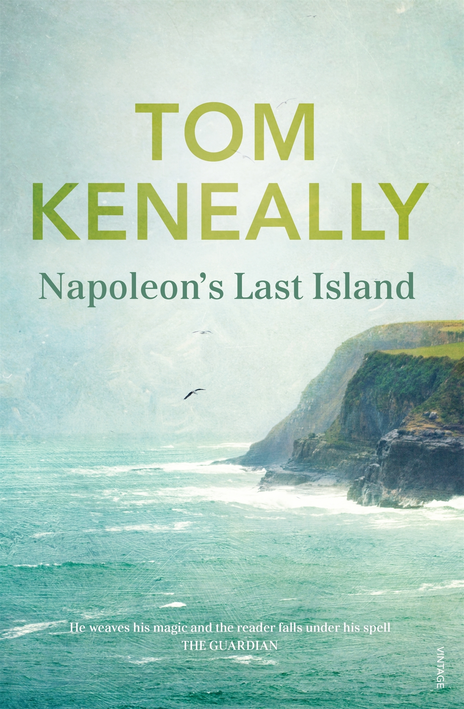 Napoleon's Last Island book cover