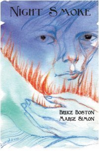 Night Smoke book cover