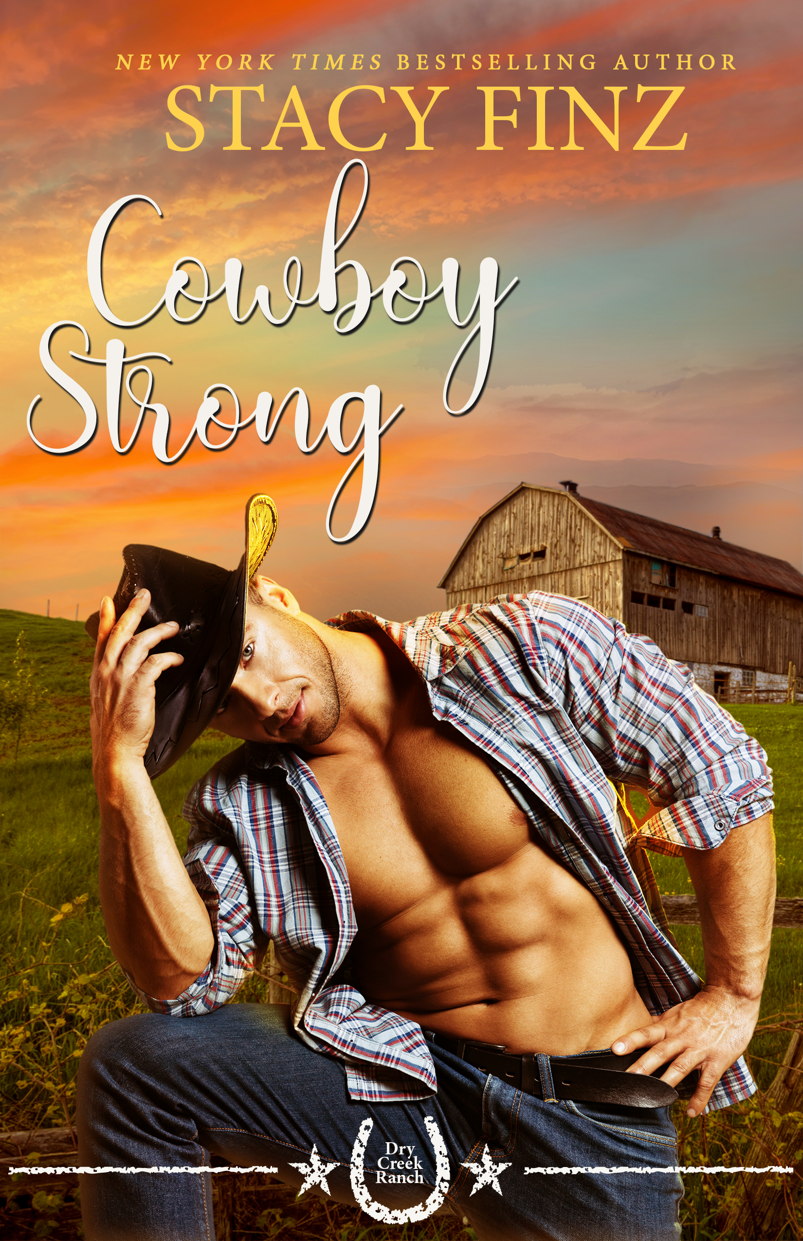 Dry Creek Ranch book cover 3