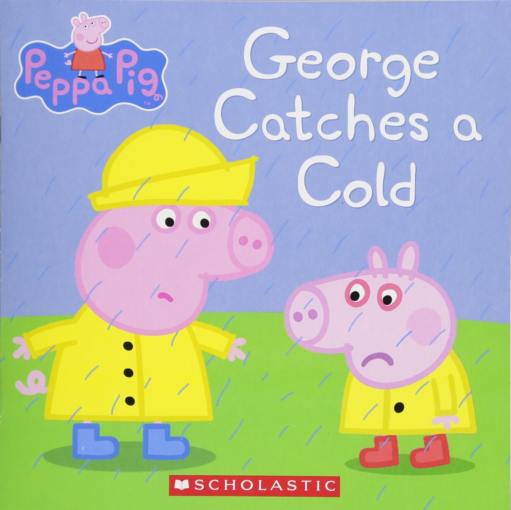 George Catches a Cold book cover