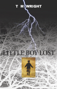 Little Boy Lost book cover