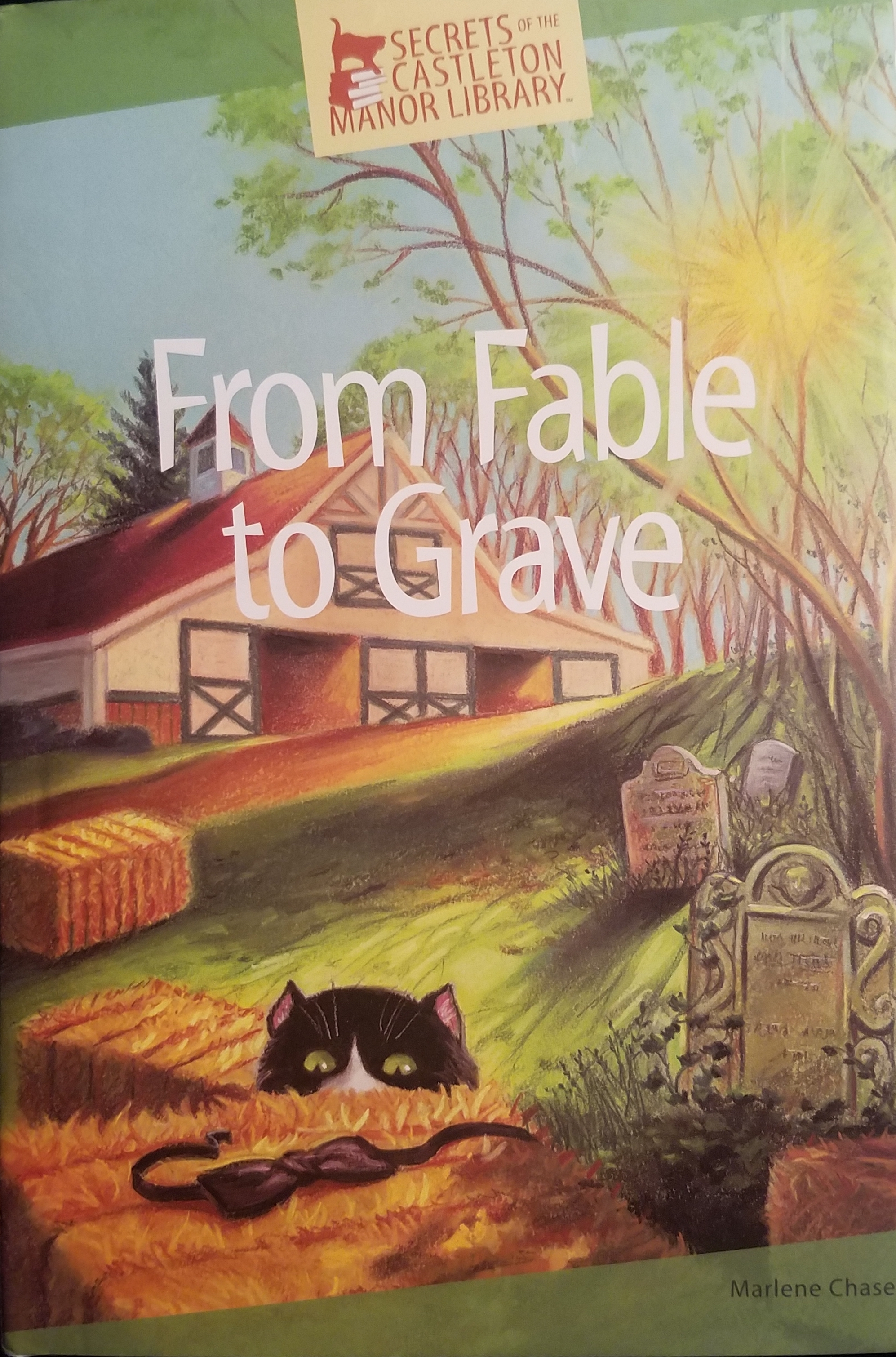 From Fable to Grave book cover