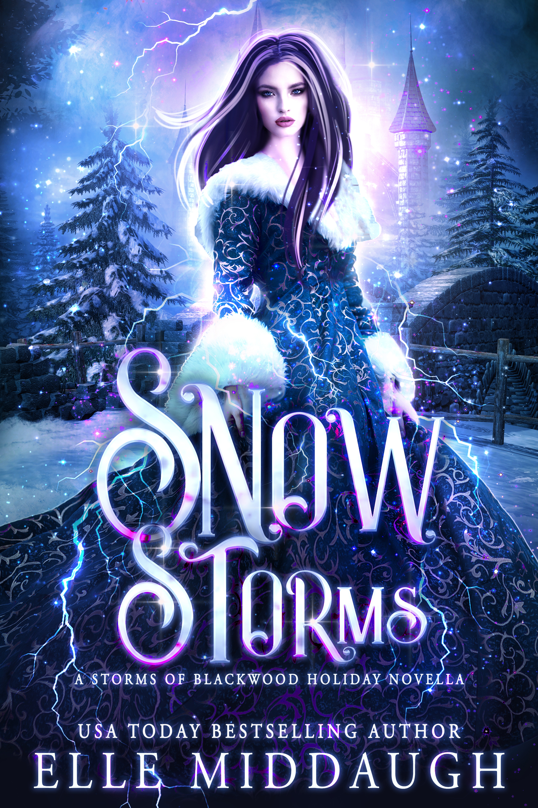 Snow Storms book cover