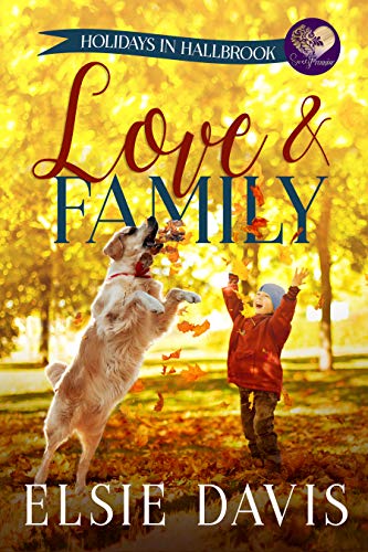 Holidays in Hallbrook book cover 2