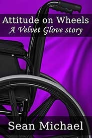 Attitude on Wheels book cover