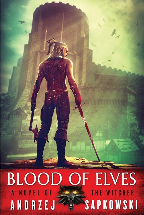 The Witcher book cover 1