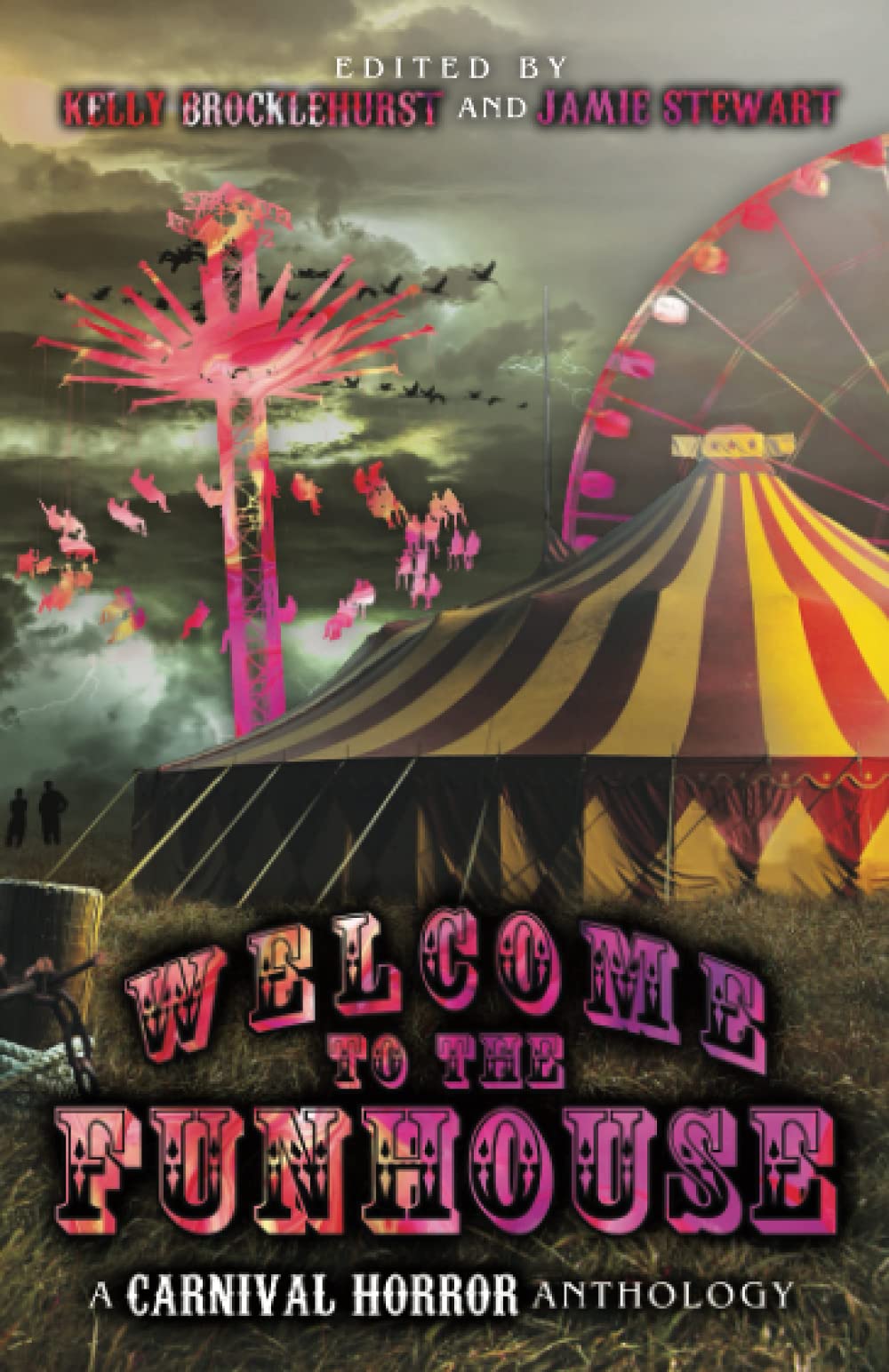 Welcome to the Funhouse book cover