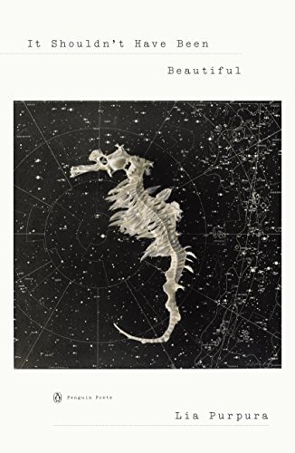 It Shouldn't Have Been Beautiful book cover