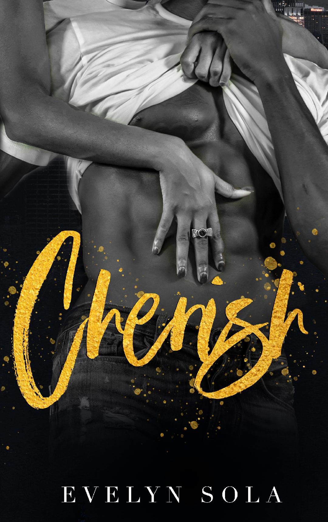 Clark Family book cover 2