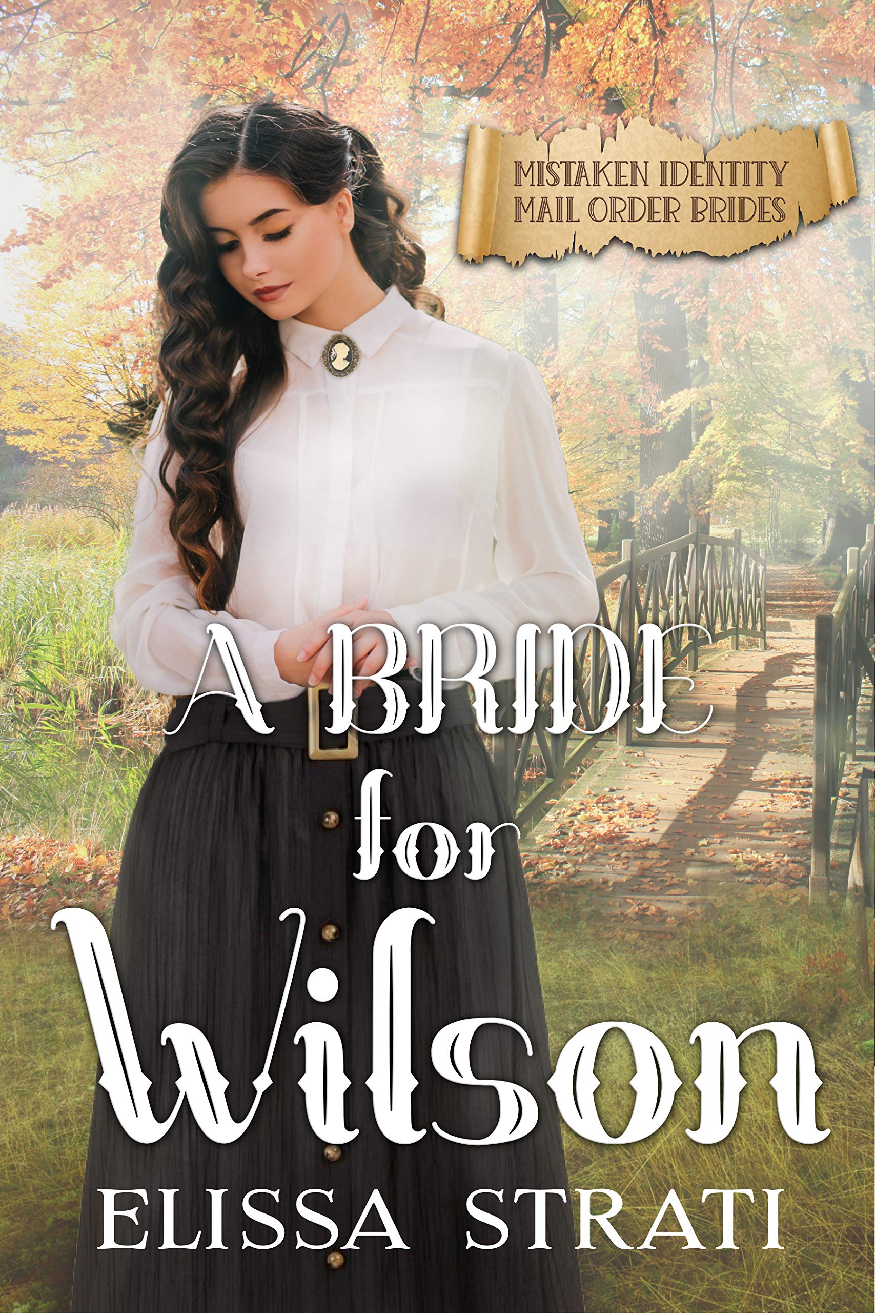 A Bride for Wilson book cover