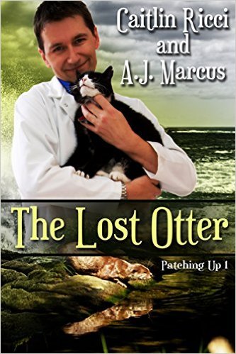Patching Up book cover 1