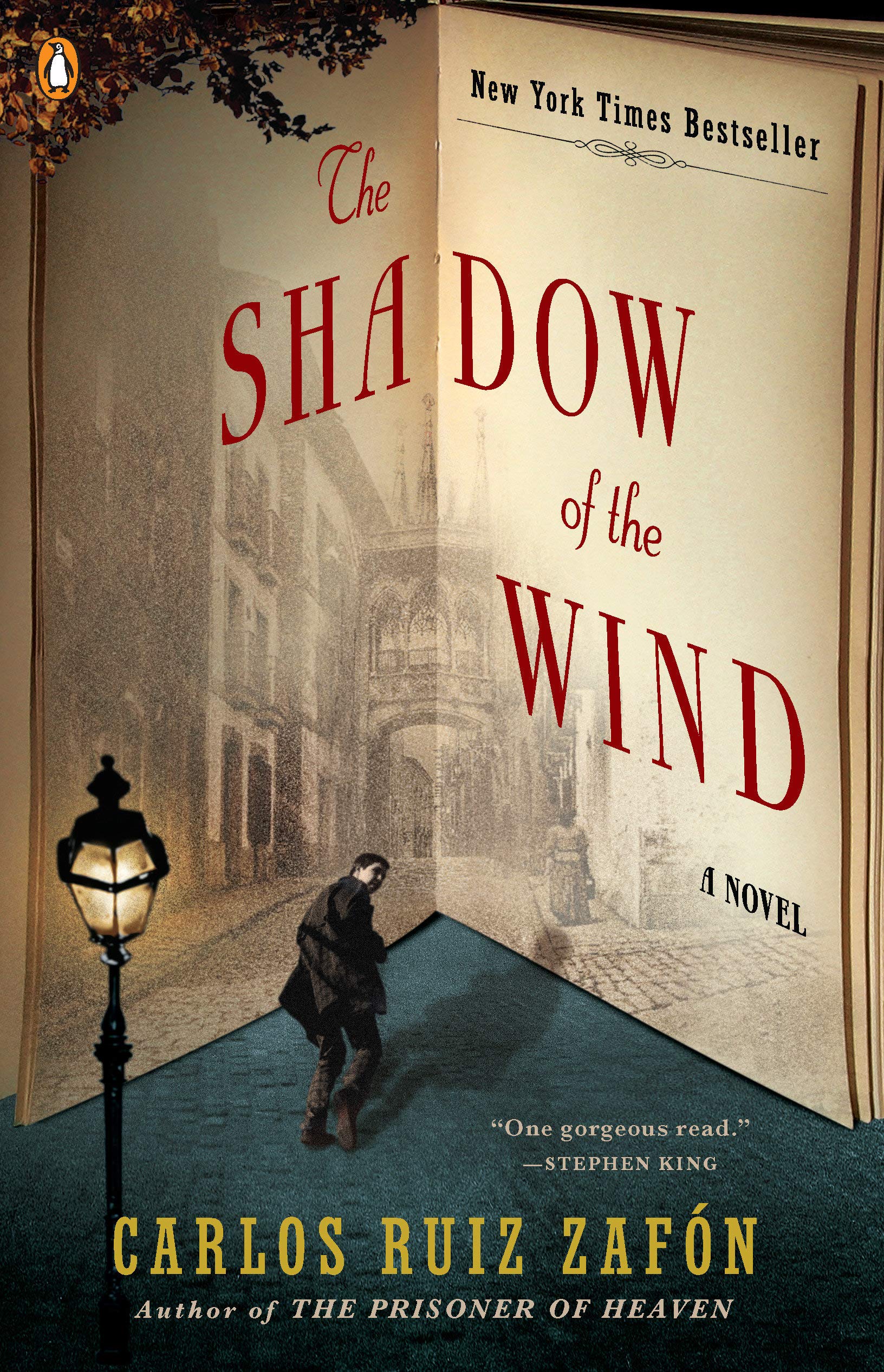 The Shadow of the Wind book cover