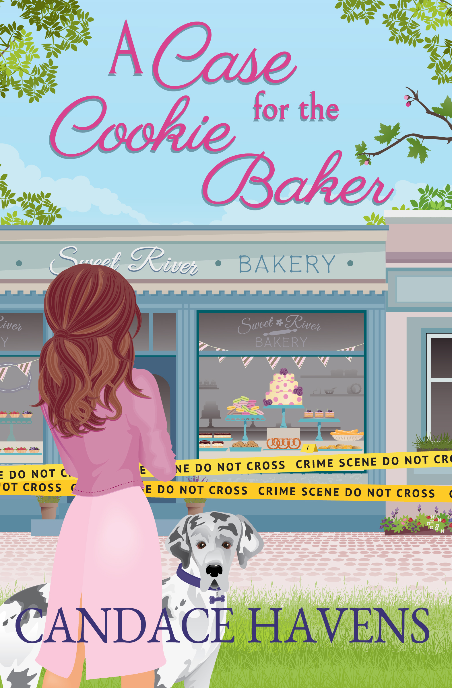 A Case for the Cookie Baker book cover