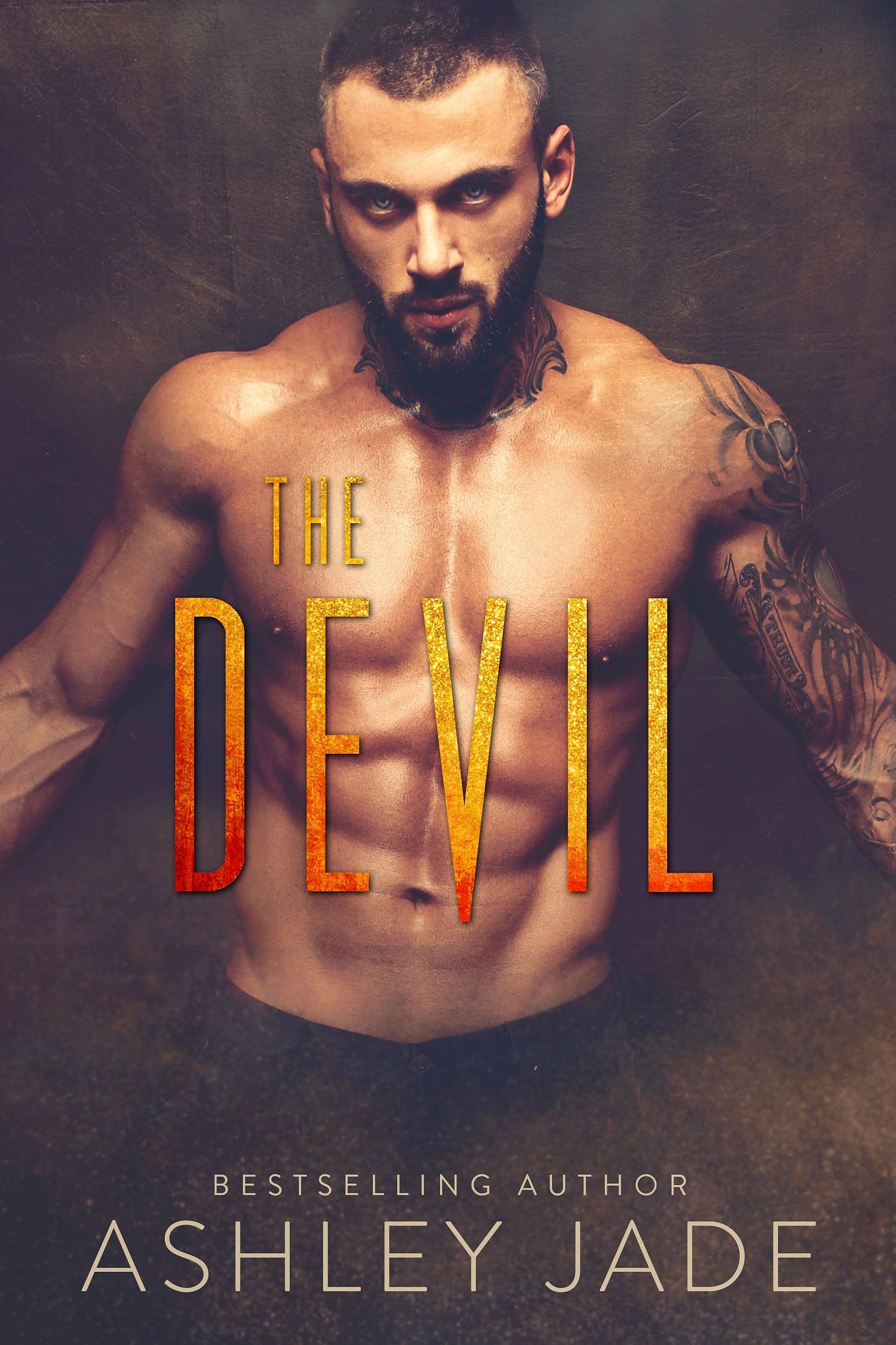 Devil's Playground book cover 1