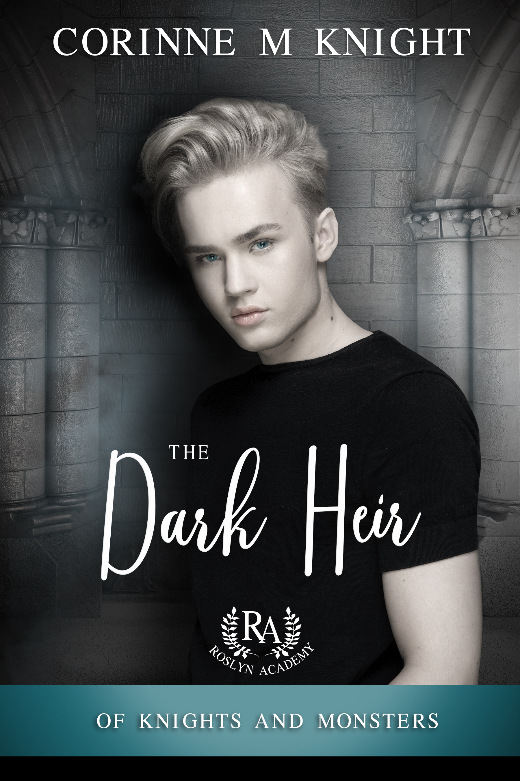 Of Knights and Monsters book cover 1