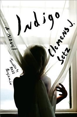 Indigo book cover