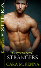 Convenient Strangers book cover