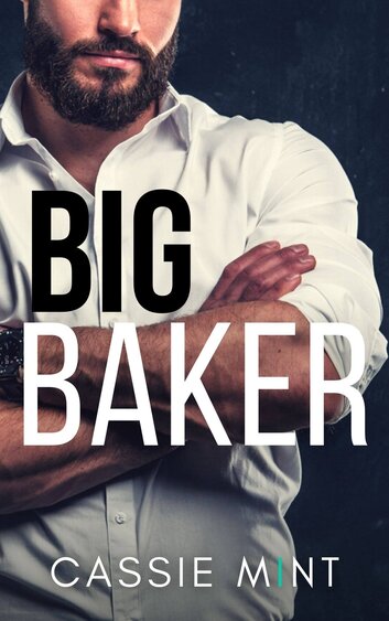Big Baker book cover
