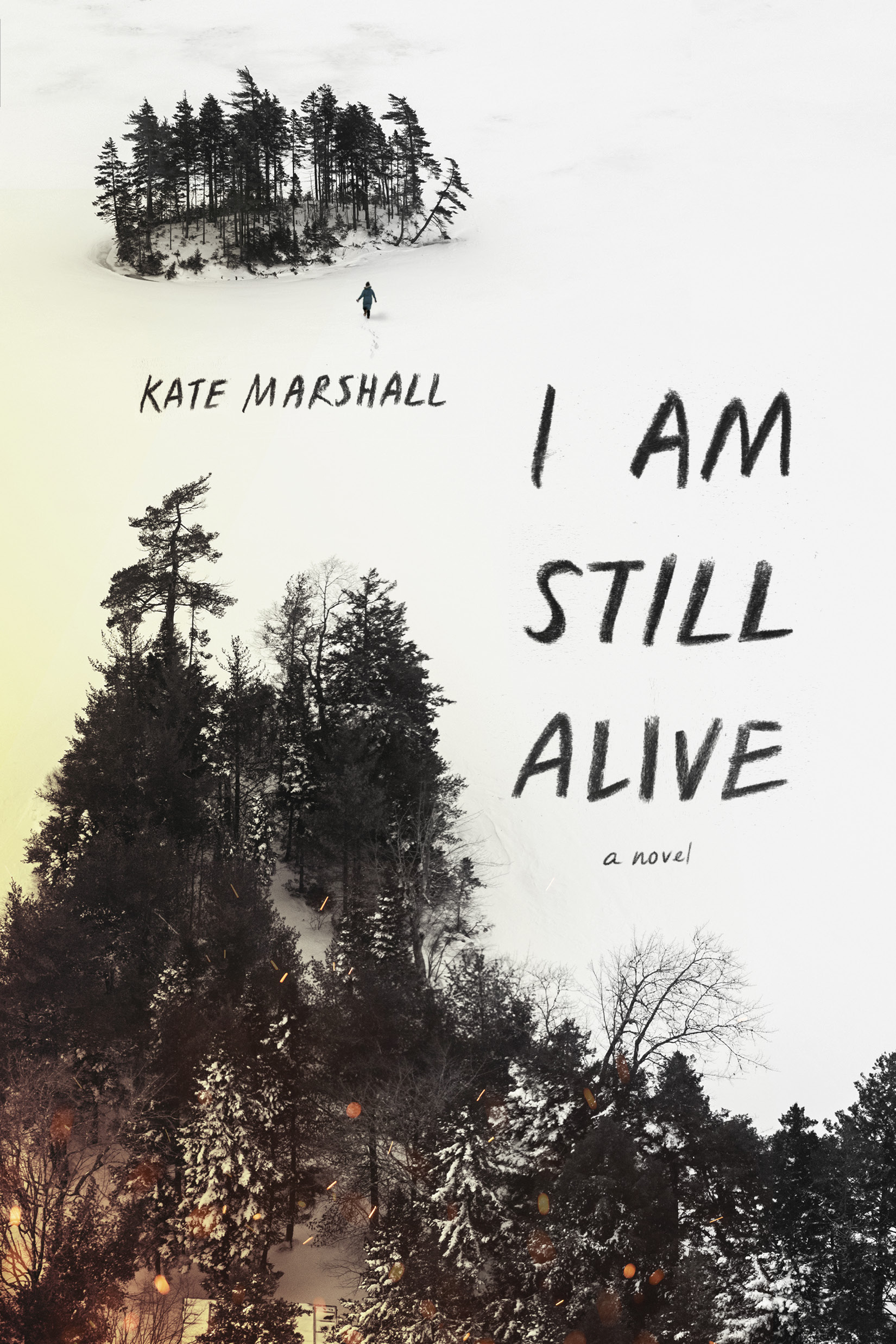 I Am Still Alive book cover