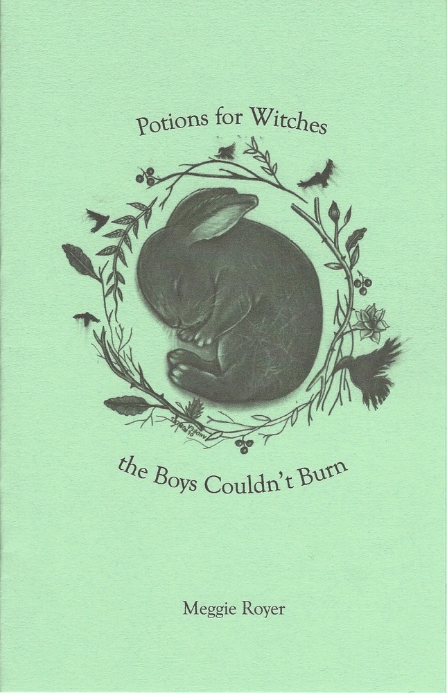 Potions for Witches the Boys Couldn't Burn book cover