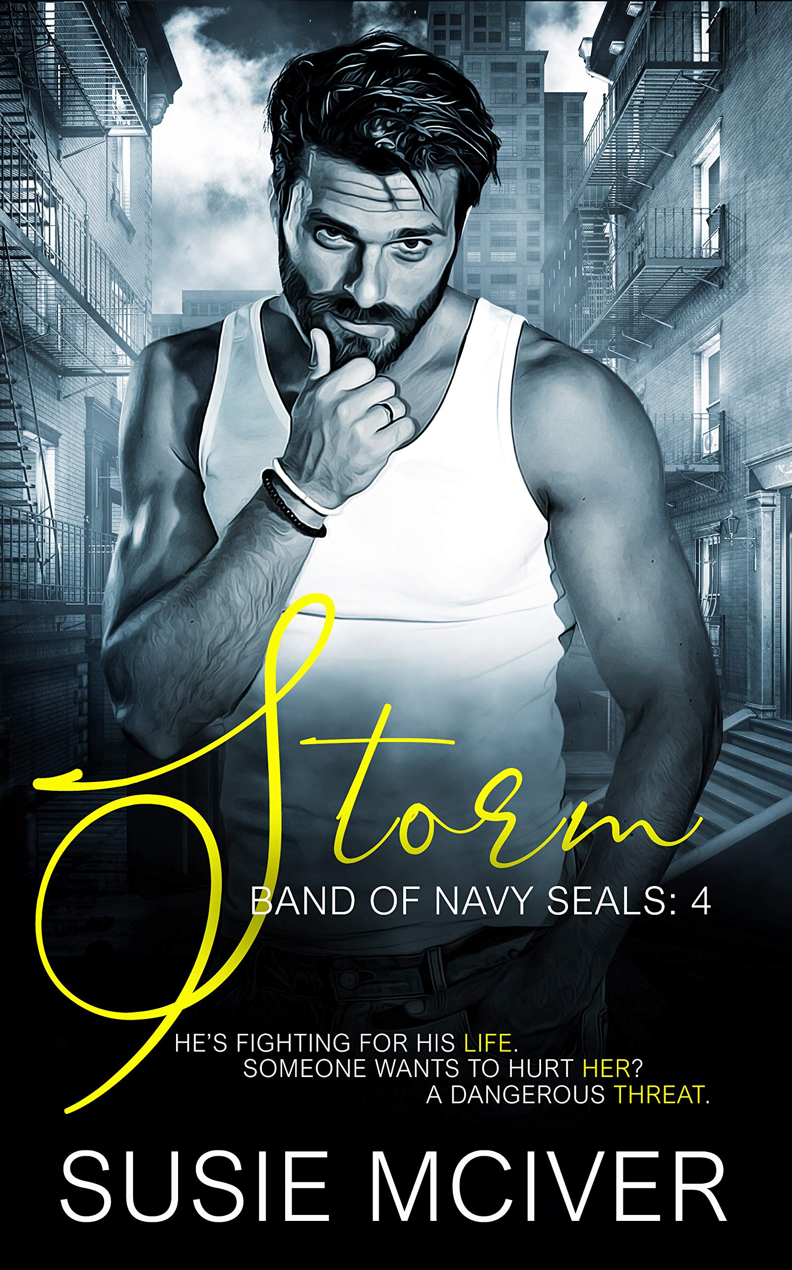 Storm book cover