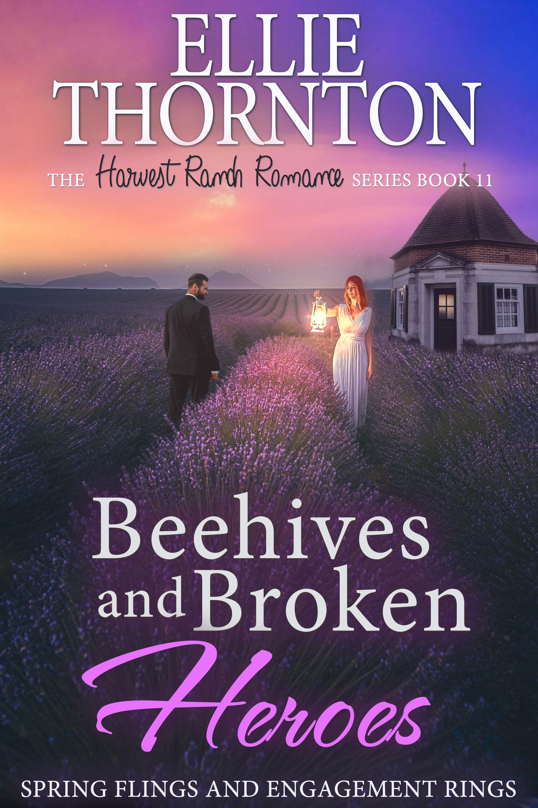Beehives and Broken Heroes book cover