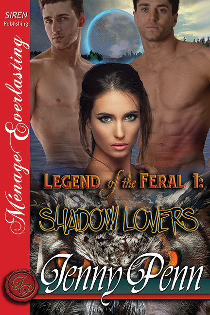 Shadow Lovers book cover