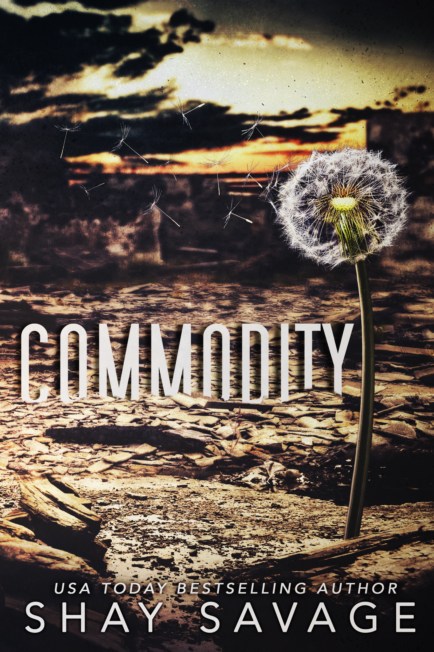 Commodity book cover