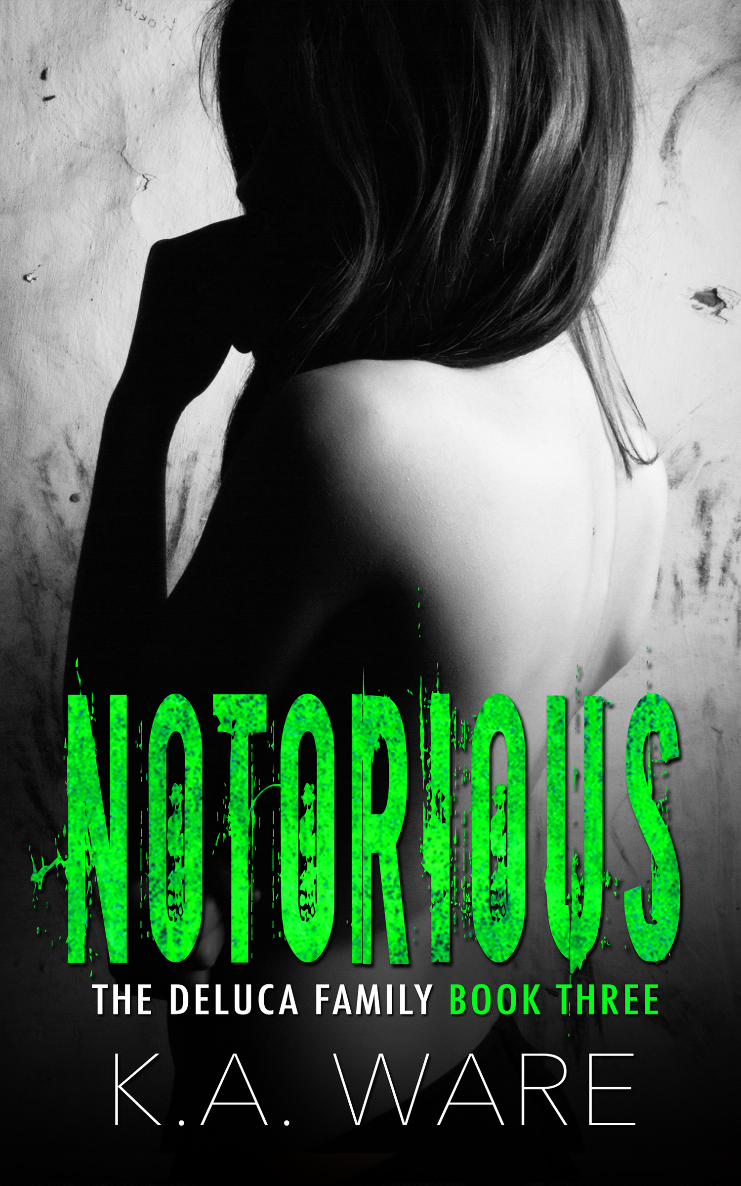 The DeLuca Family book cover 3