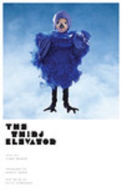 The Third Elevator book cover