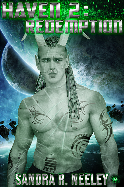 Haven book cover 2
